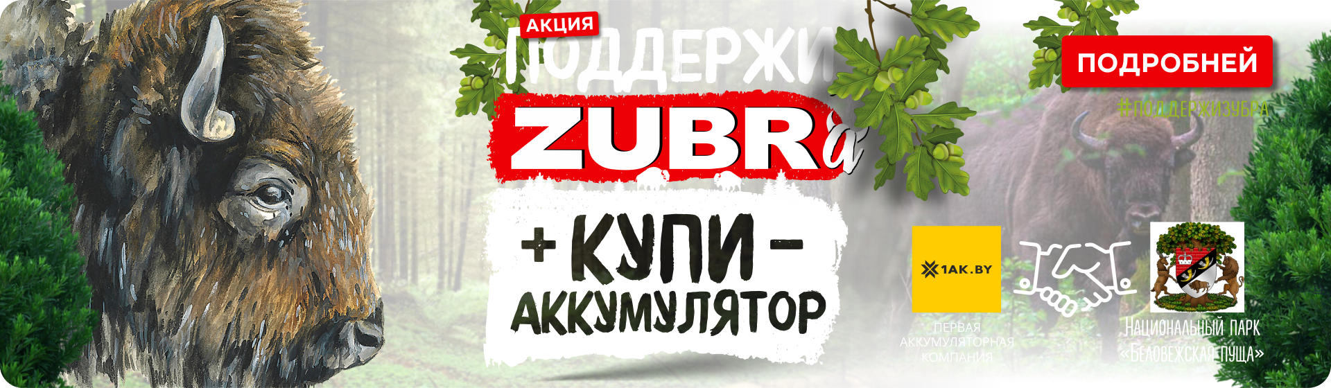 Поддержим зубра вместе! - 2